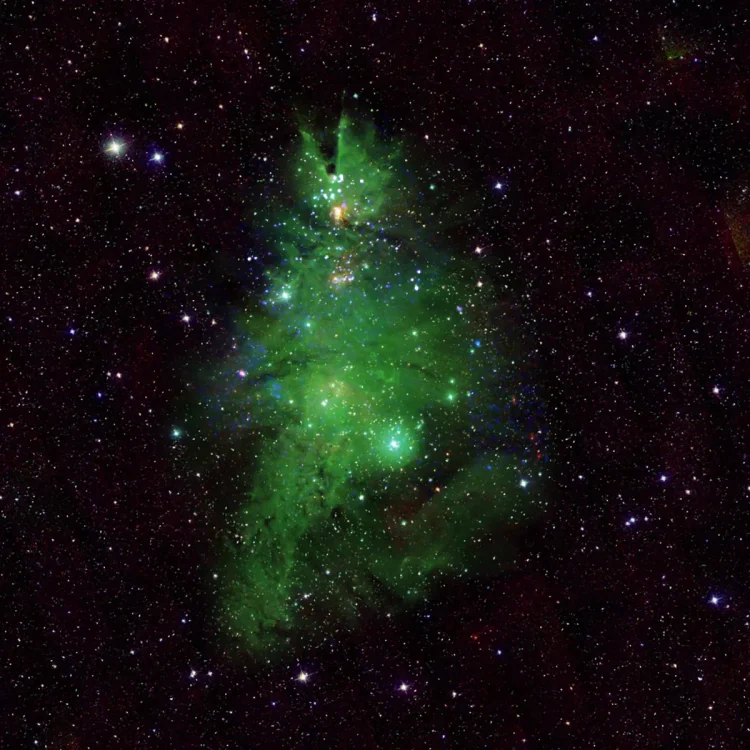 ngc2264.thumb.webp.69d7d3c71807cde5887d229fc7a66103.webp