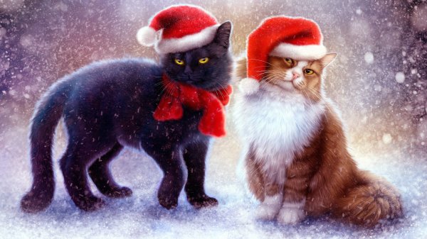 cats-cat-art-santa-claus-wallpaper-c836ed18e0309c18508c813e2842740a.jpg