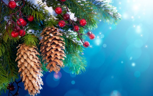 new-year-christmas-tree-decoration-snow-twigs-berries-wallpaper-28e60c8a1f9c87296e2069c272a9bb10.jpg